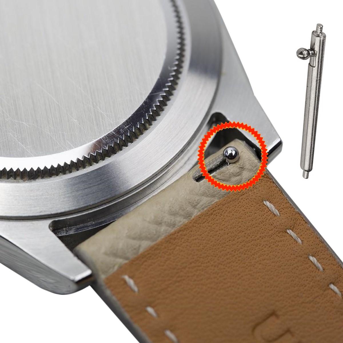 Quick release spring bar cheap