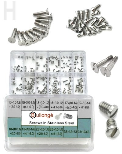 Exklusiv Schrauben-Set Schlitz & H-Schrauben für Uhrengehäuse